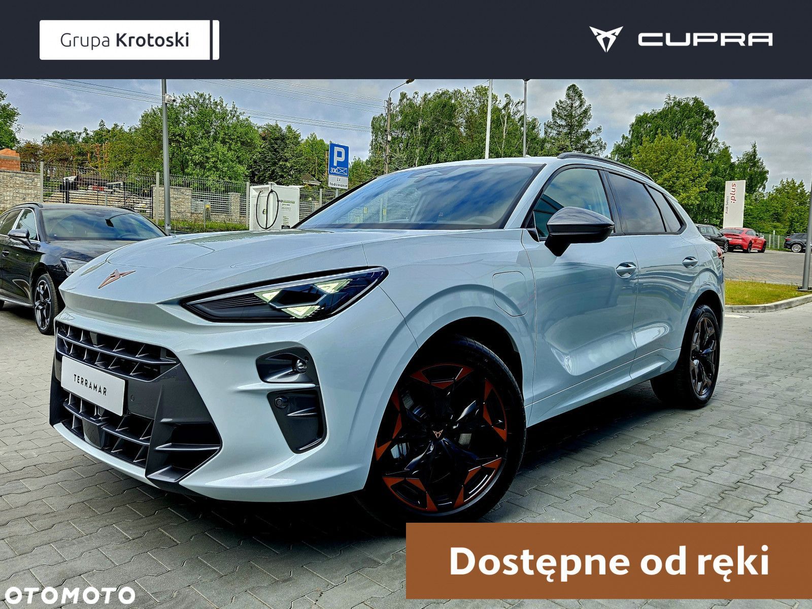 Cupra Terramar - 1