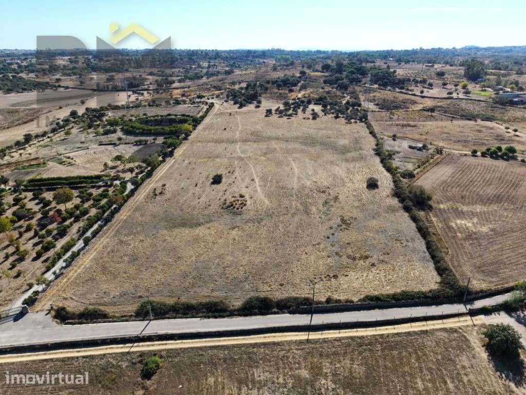 8 hectares de natureza a poucos minutos de Castelo Branco - com pos... - Grande imagem: 5/7