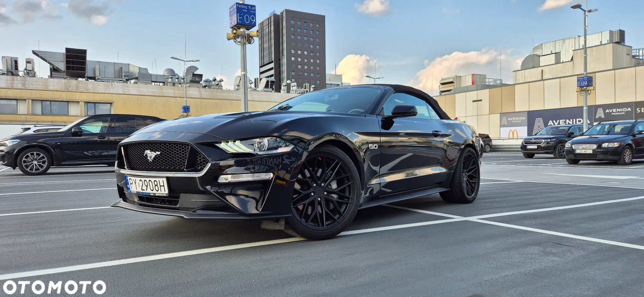 Ford Mustang Fastback 5.0 Ti-VCT V8 MACH1 - 5