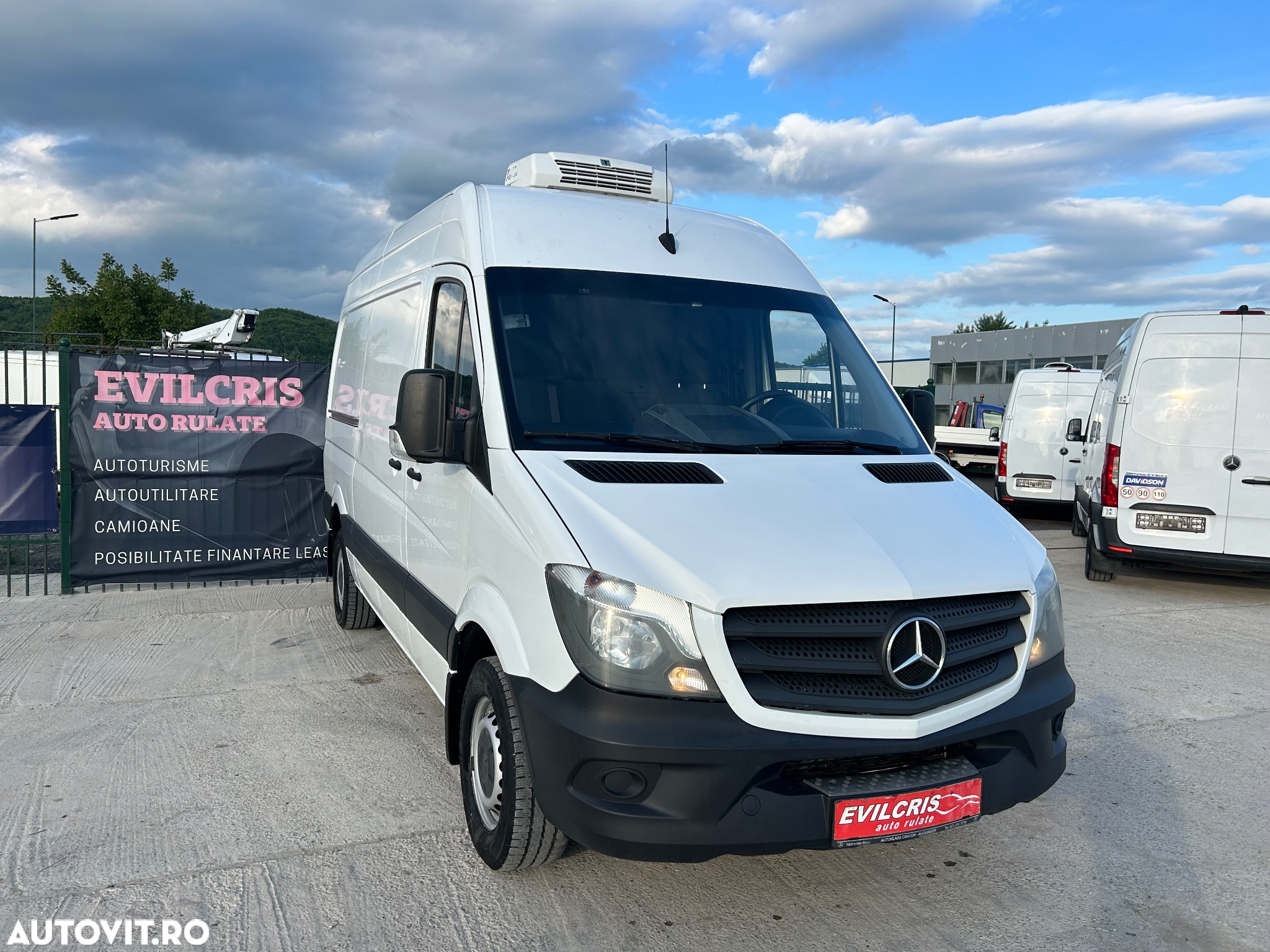 Mercedes-Benz Sprinter FRIGORIFIC THERMO KING CONGELARE - 22
