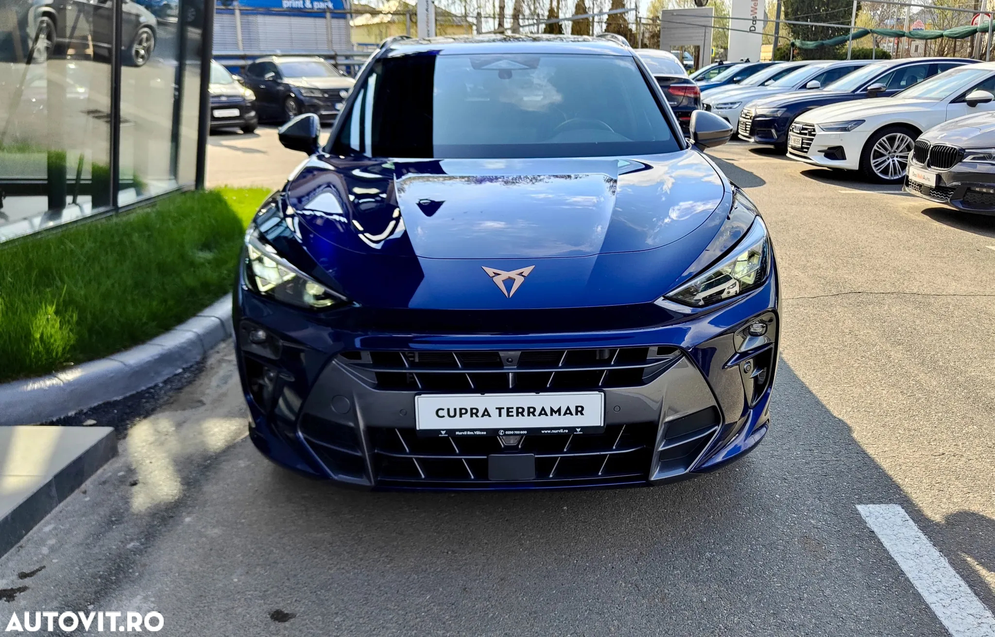 Cupra Terramar - 7