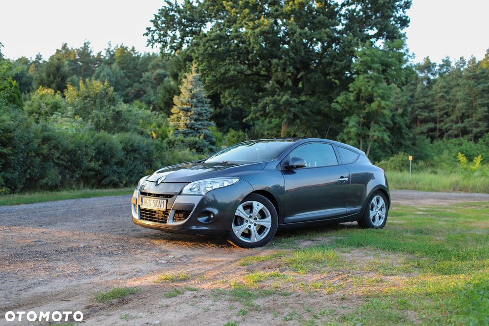 Renault Megane 1.9 dCi Dynamique Euro5 - 1