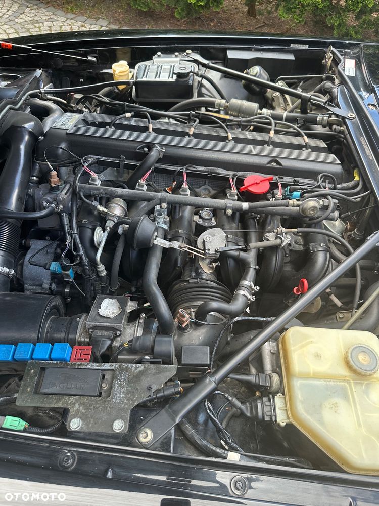 Jaguar XJS - 12