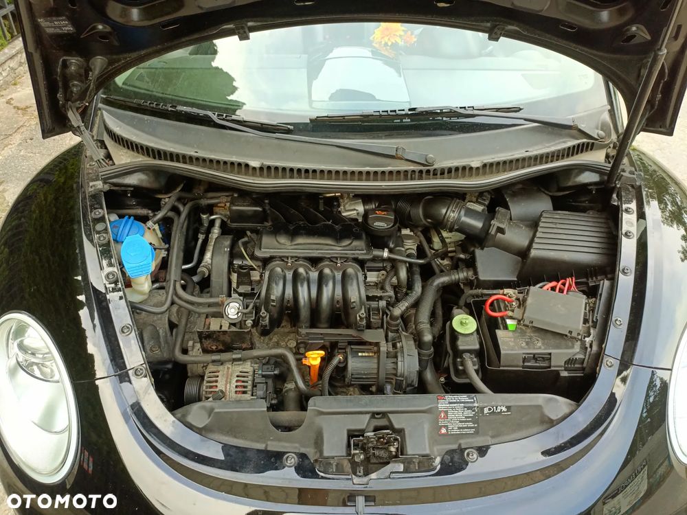 Volkswagen New Beetle 1.6 - 19