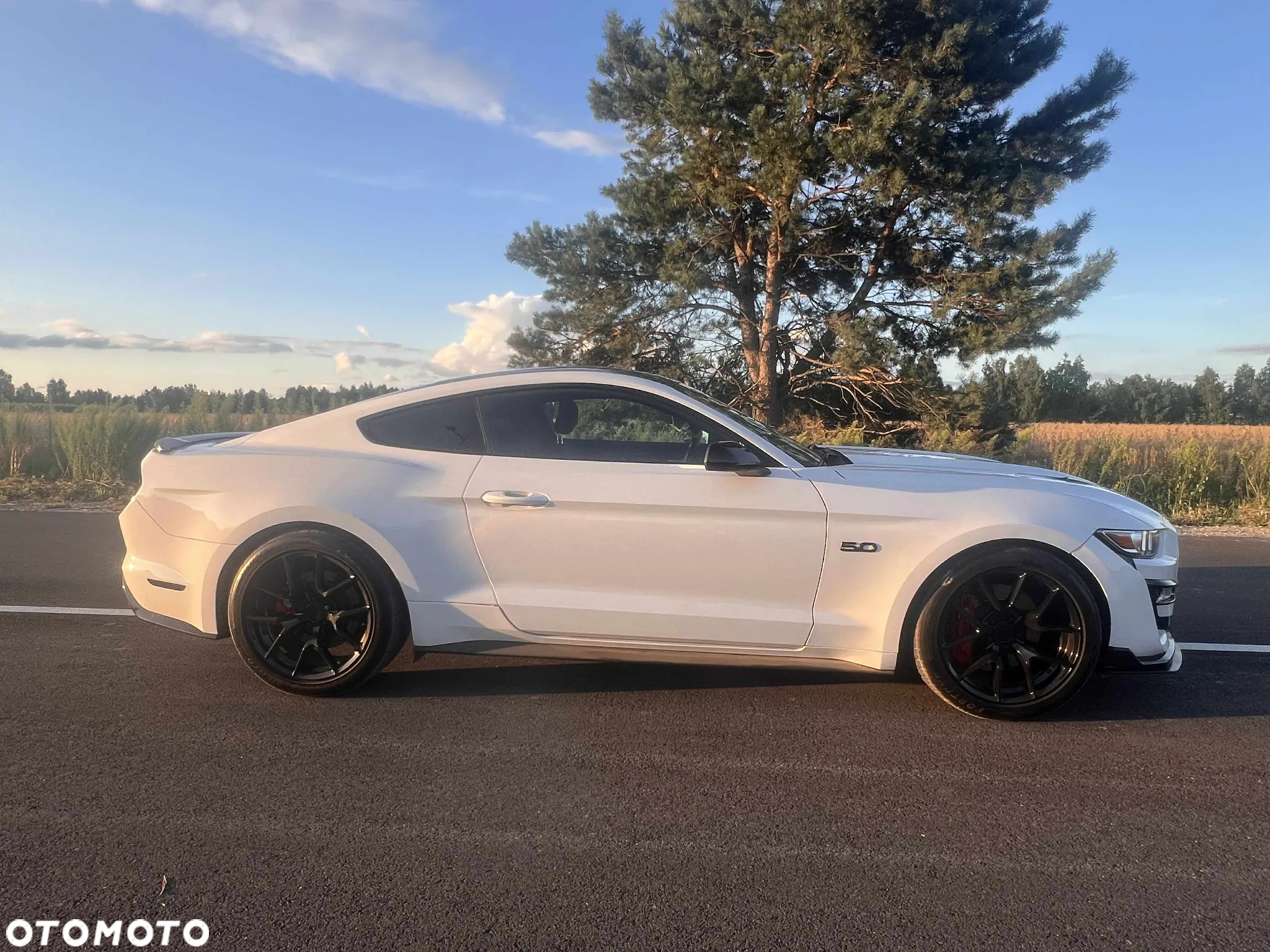 Ford Mustang 5.0 V8 GT - 6