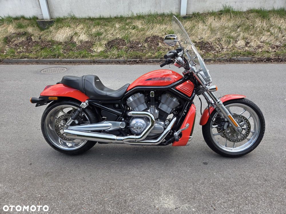 Harley-Davidson Softail V-Rod - 4