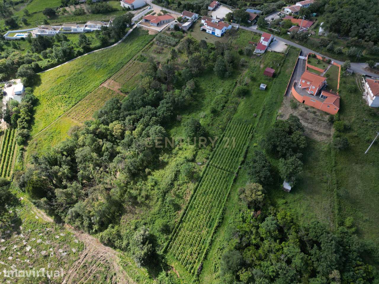 Terreno para construção - Bemposta, Maiorga, Alcobaça - Grande imagem: 5/10