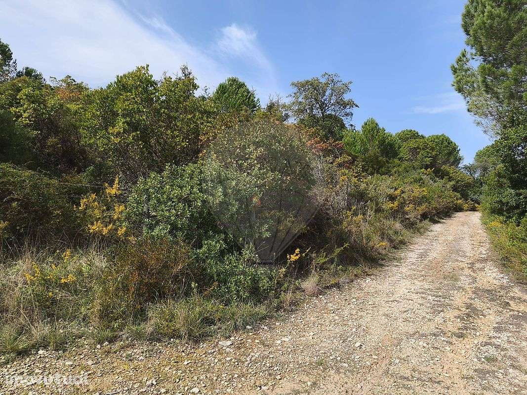 Terreno  para venda - Grande imagem: 5/19