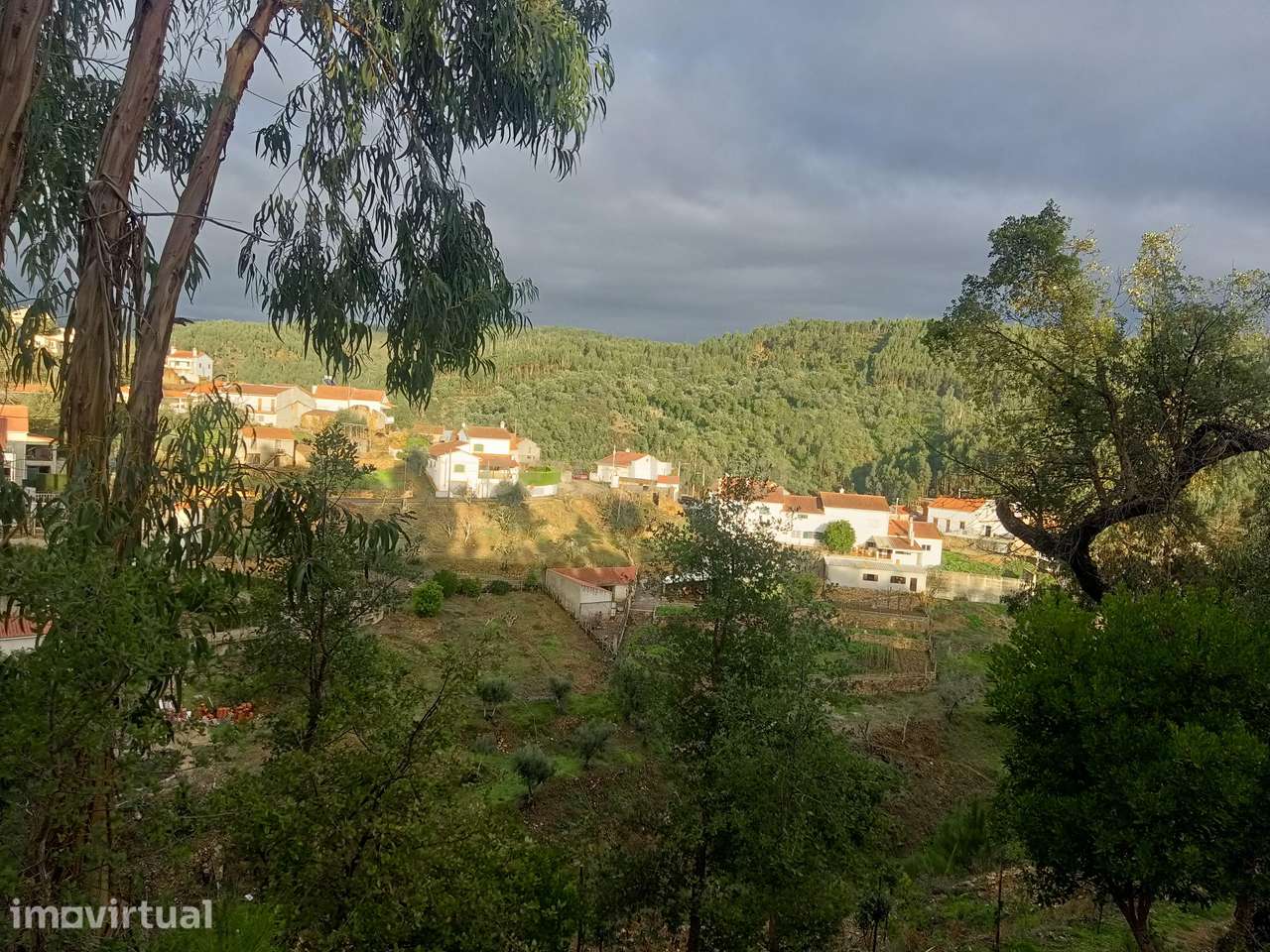 Casa para Recuperar em Vila de Rei, Castelo Branco - Grande imagem: 3/26