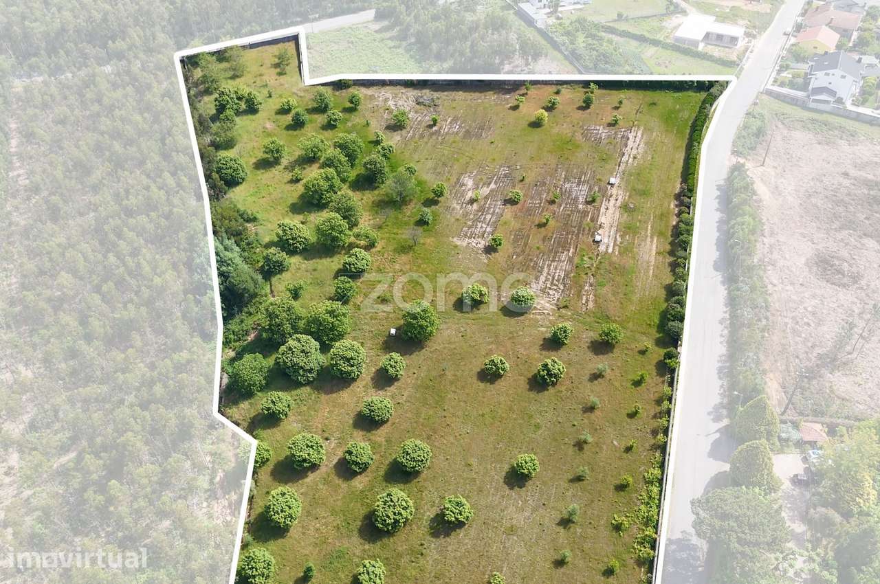 Quinta agropecuária em Canedo, Santa Maria da Feira — 21.860 m² - Grande imagem: 2/39