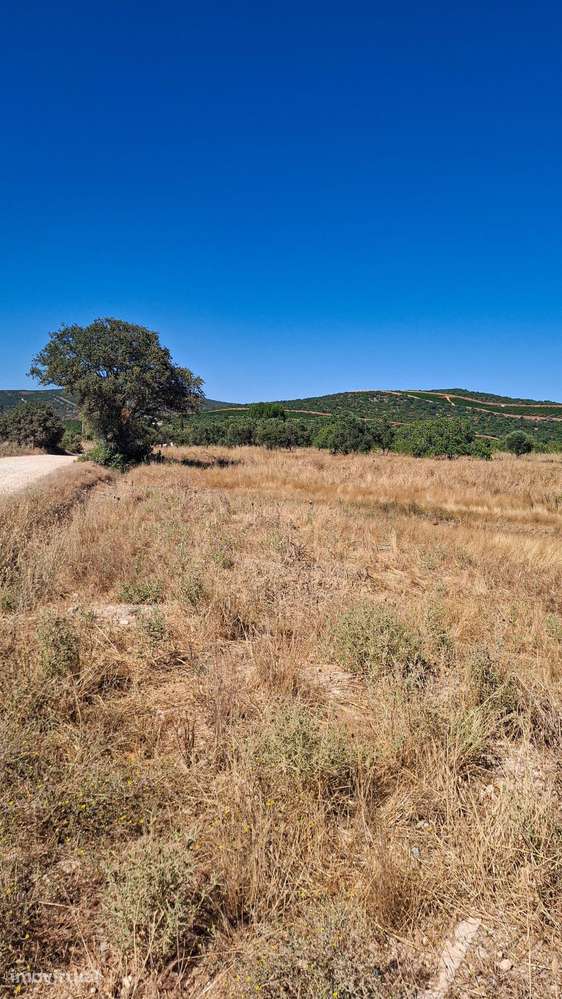 Terreno Rústico com Grande Potencial Agrícola – 7.800 m² em Paderne, A - Grande imagem: 2/10