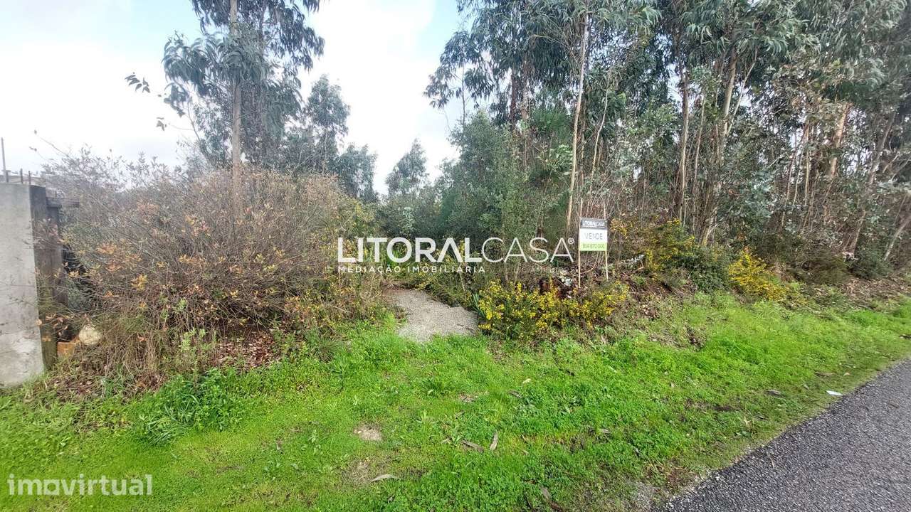 Terreno | Vale da Figueira | Águeda - Grande imagem: 5/7