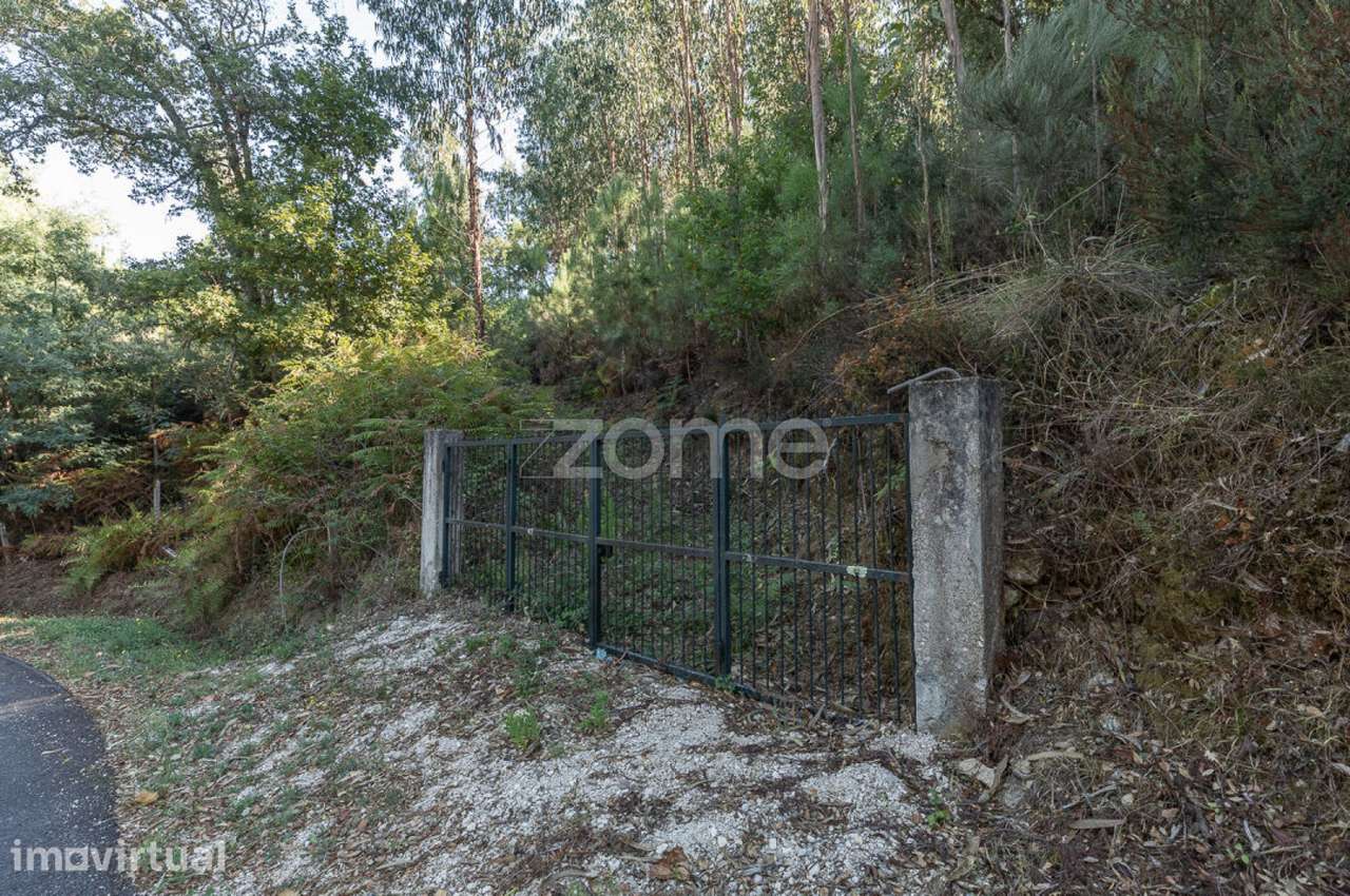 Terreno em Folques, Arganil - Grande imagem: 3/21