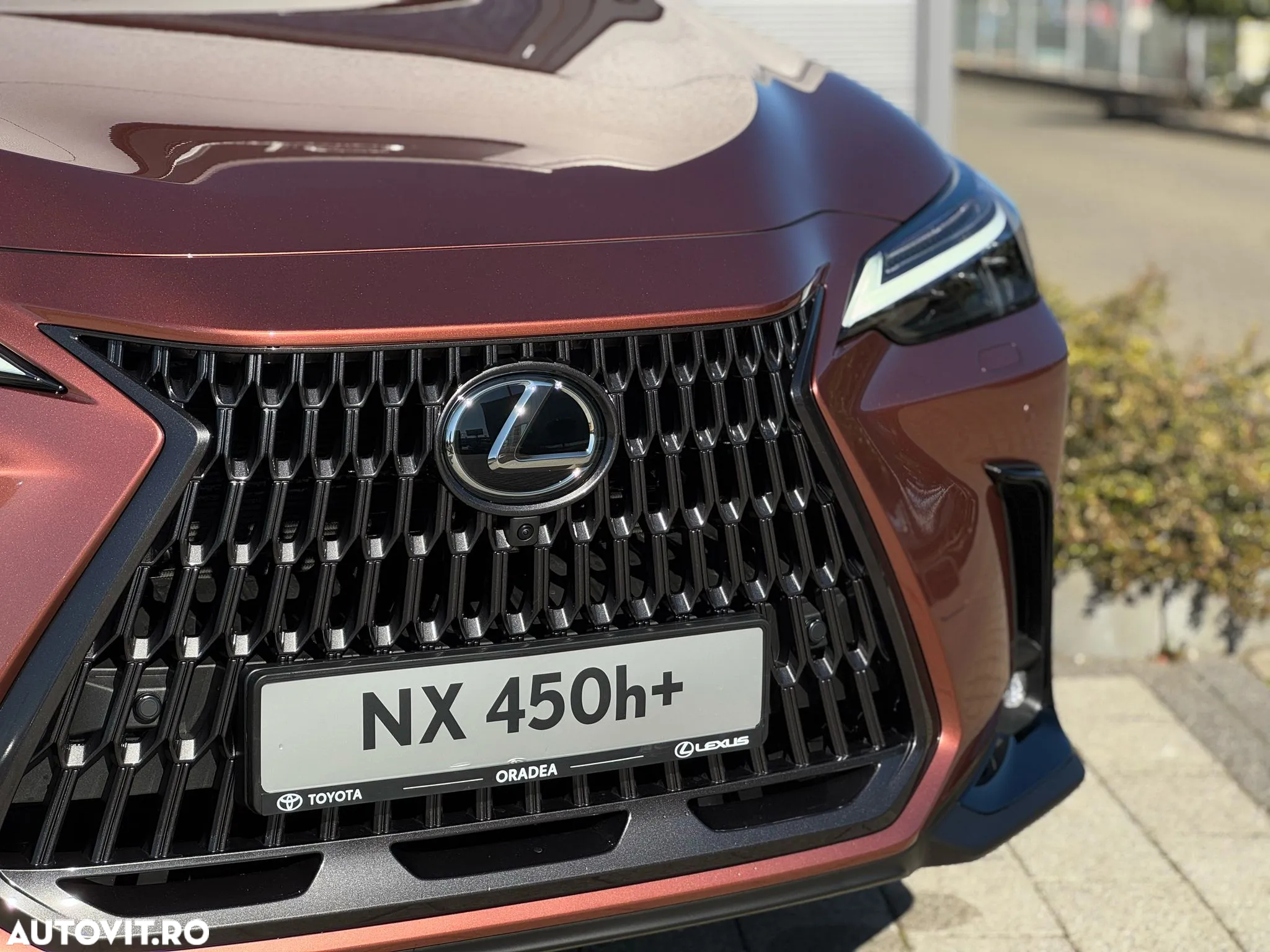 Lexus Seria NX 450h+ AWD CVT PHEV Luxury - 12