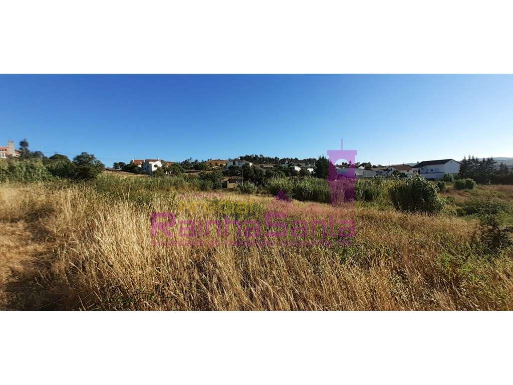 Terreno 7 360 m2 - Torres Vedras - 50 km Lisboa - Grande imagem: 3/3