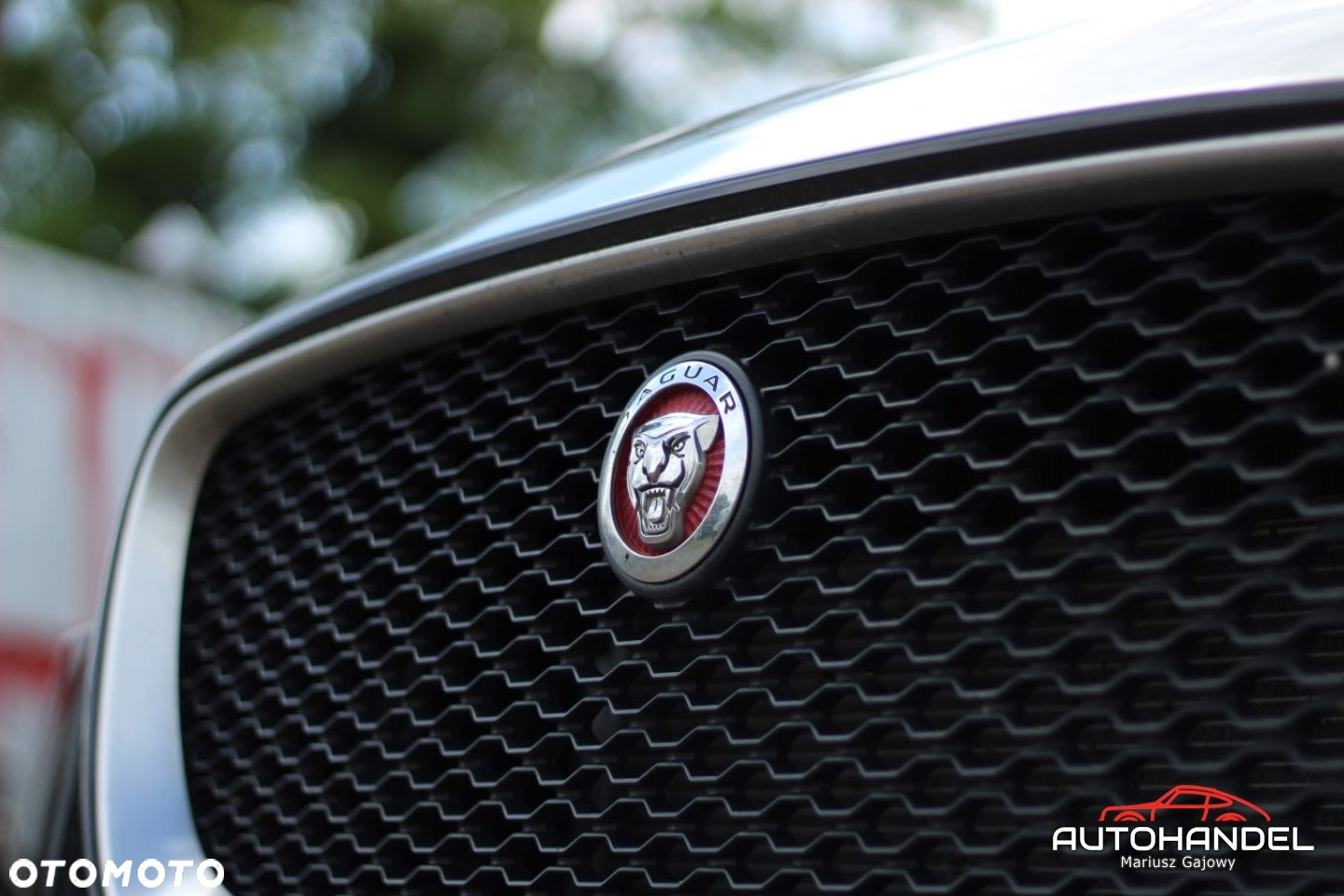 Jaguar F-Pace - 7