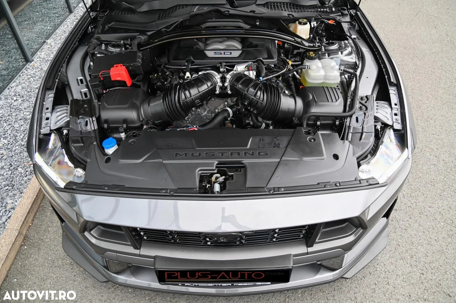 Ford Mustang 5.0 V8 Dark Horse - 7
