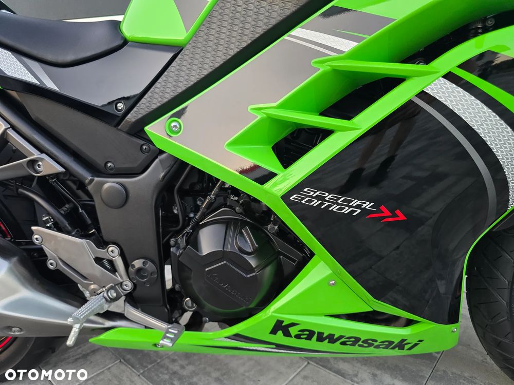 Kawasaki Ninja 300 ABS - 13