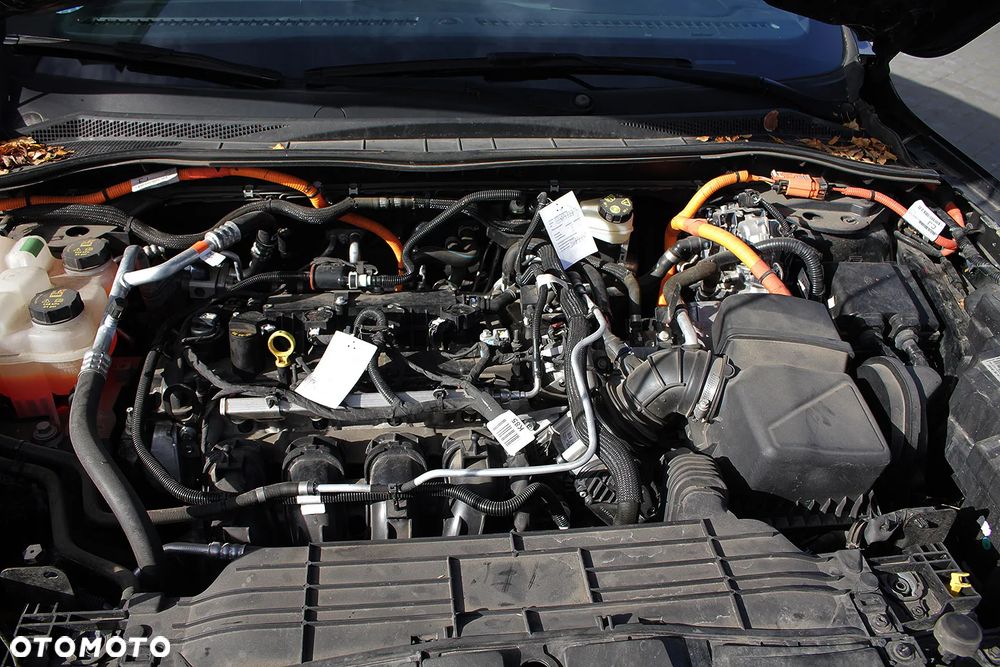Ford Kuga 2021