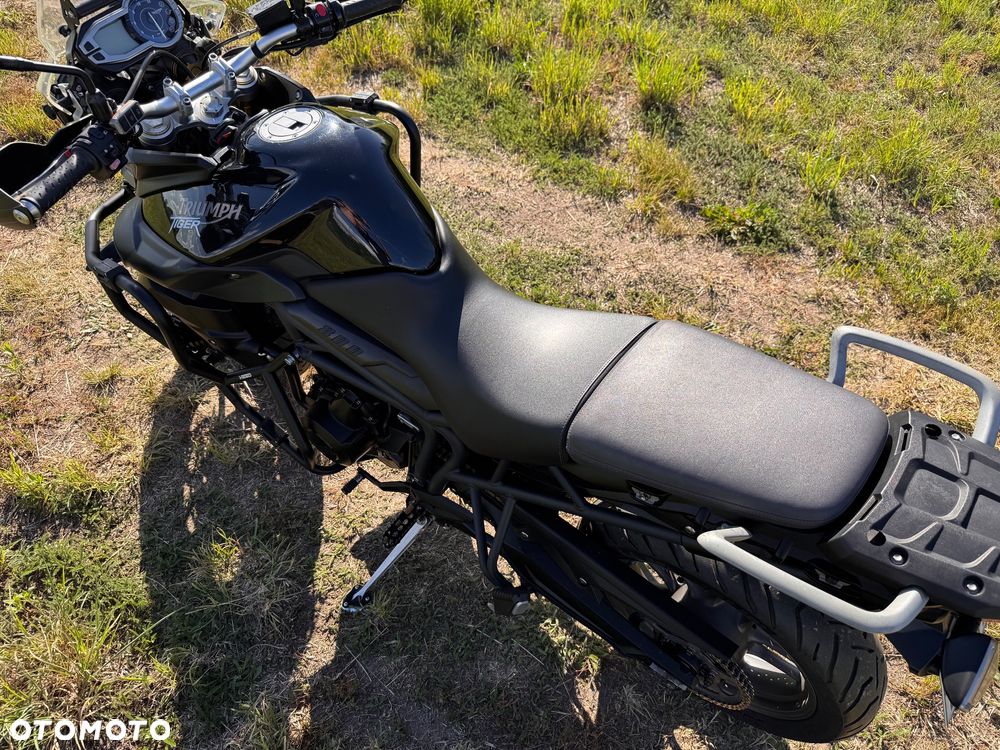 Triumph Tiger - 19