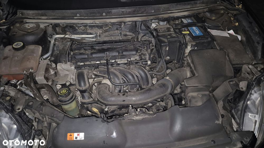 Ford Focus - 11