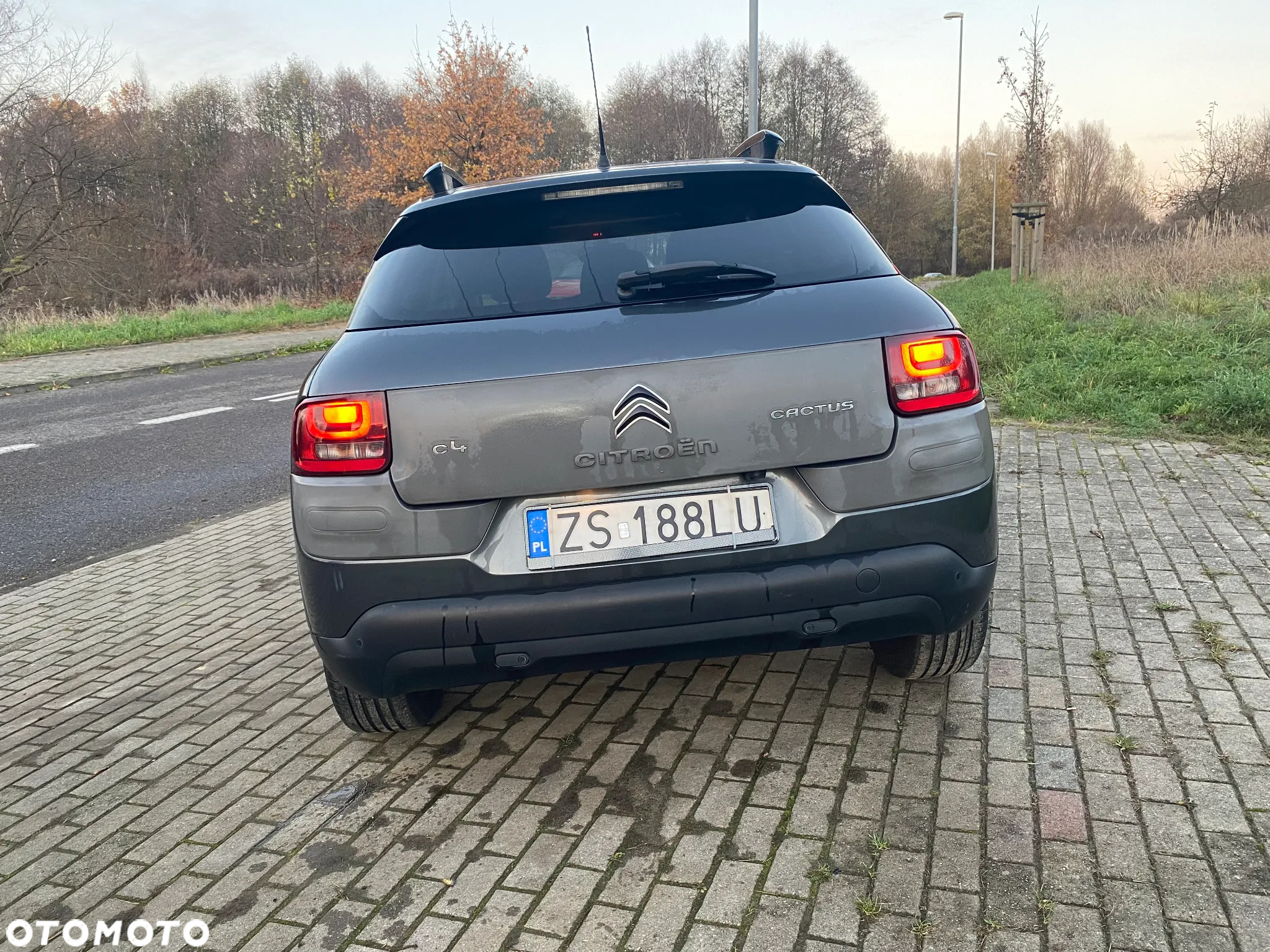 Citroën C4 Cactus 1.6 Blue HDi Shine - 9