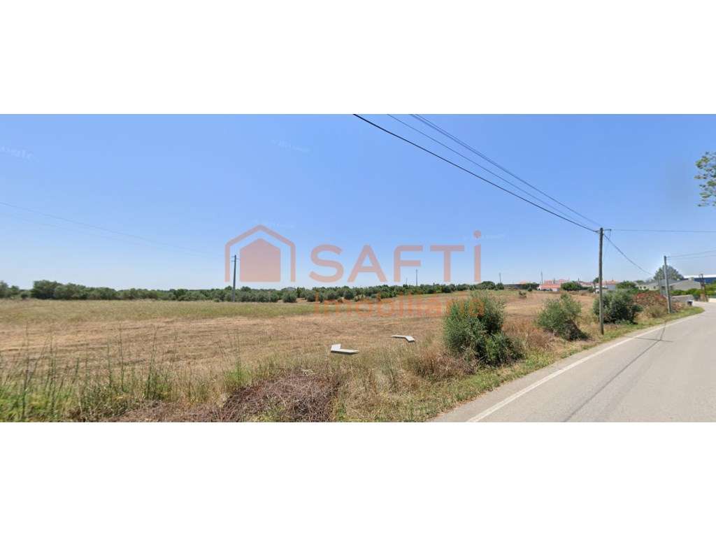 Terreno Urbanizável Venda Rio Maior - Grande imagem: 3/4