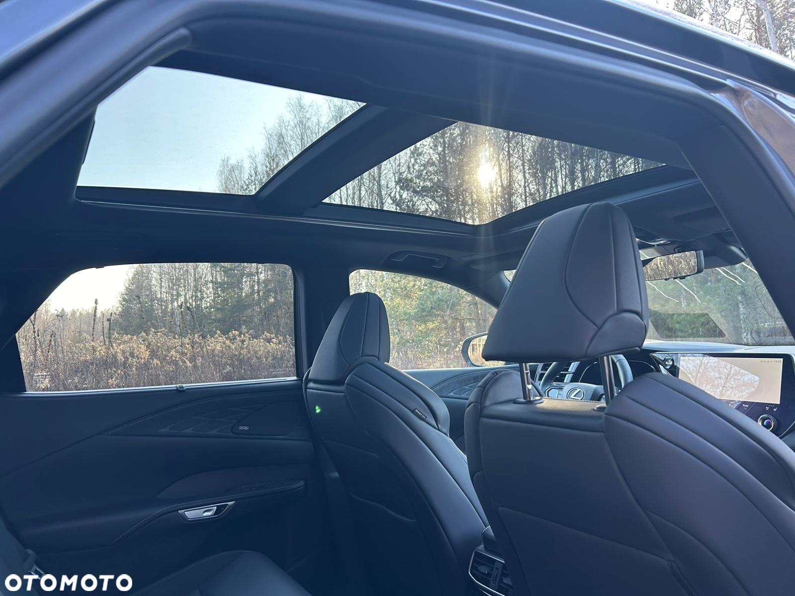 Lexus RX 500h F Sport - 19