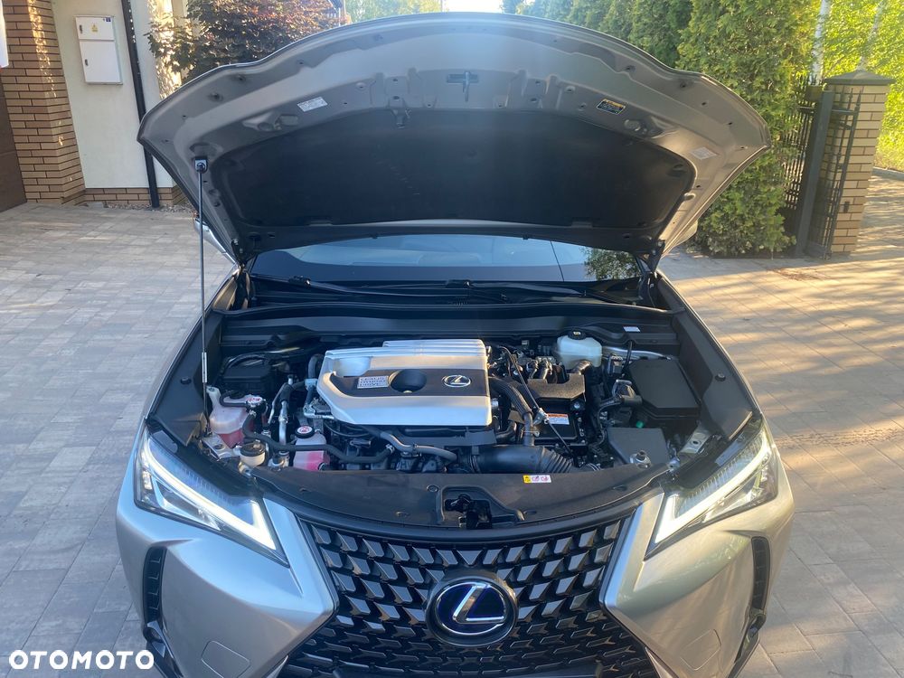 Lexus UX 250h GPF Business Edition 2WD - 13