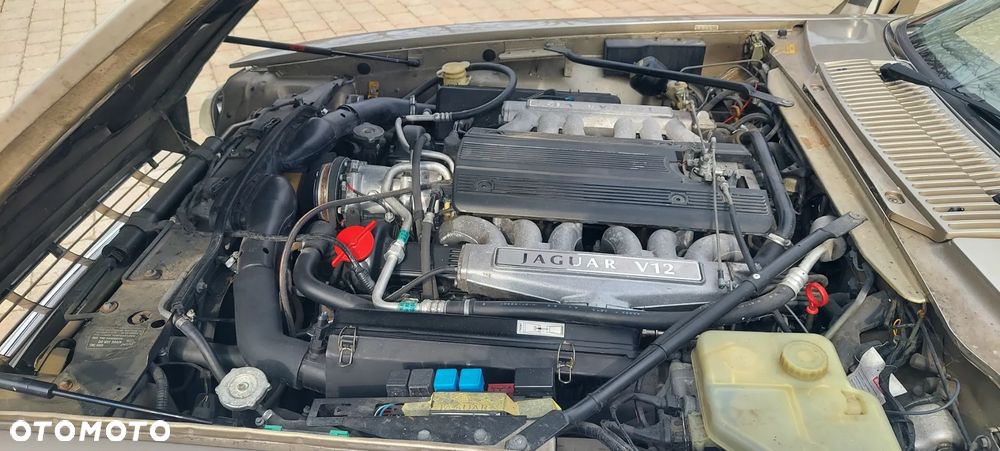 Jaguar XJS - 23