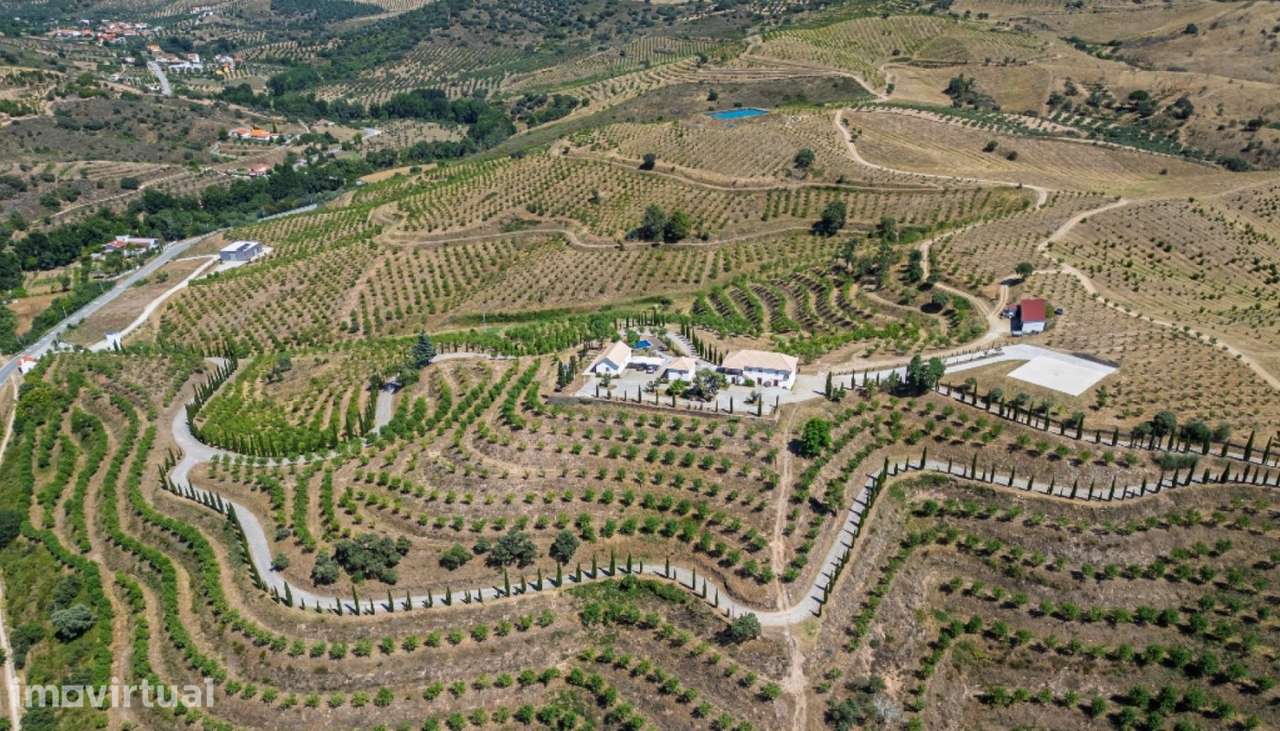 Quinta de Luxo no Douro Interior em Mirandela - Grande imagem: 3/25
