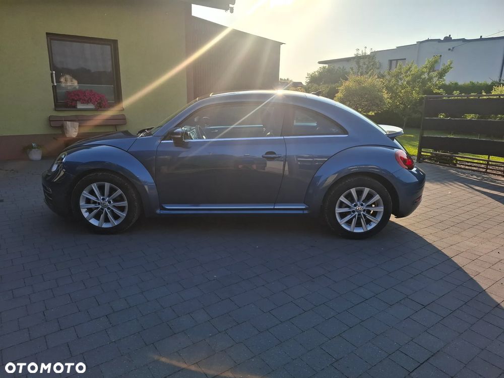 Volkswagen Beetle - 14