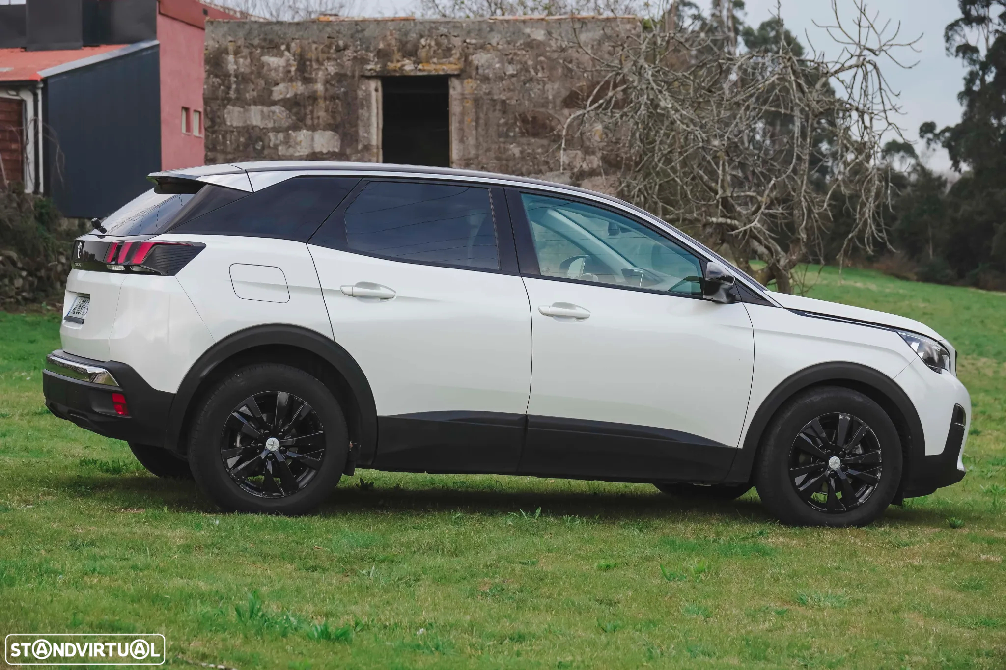 Peugeot 3008 - 17