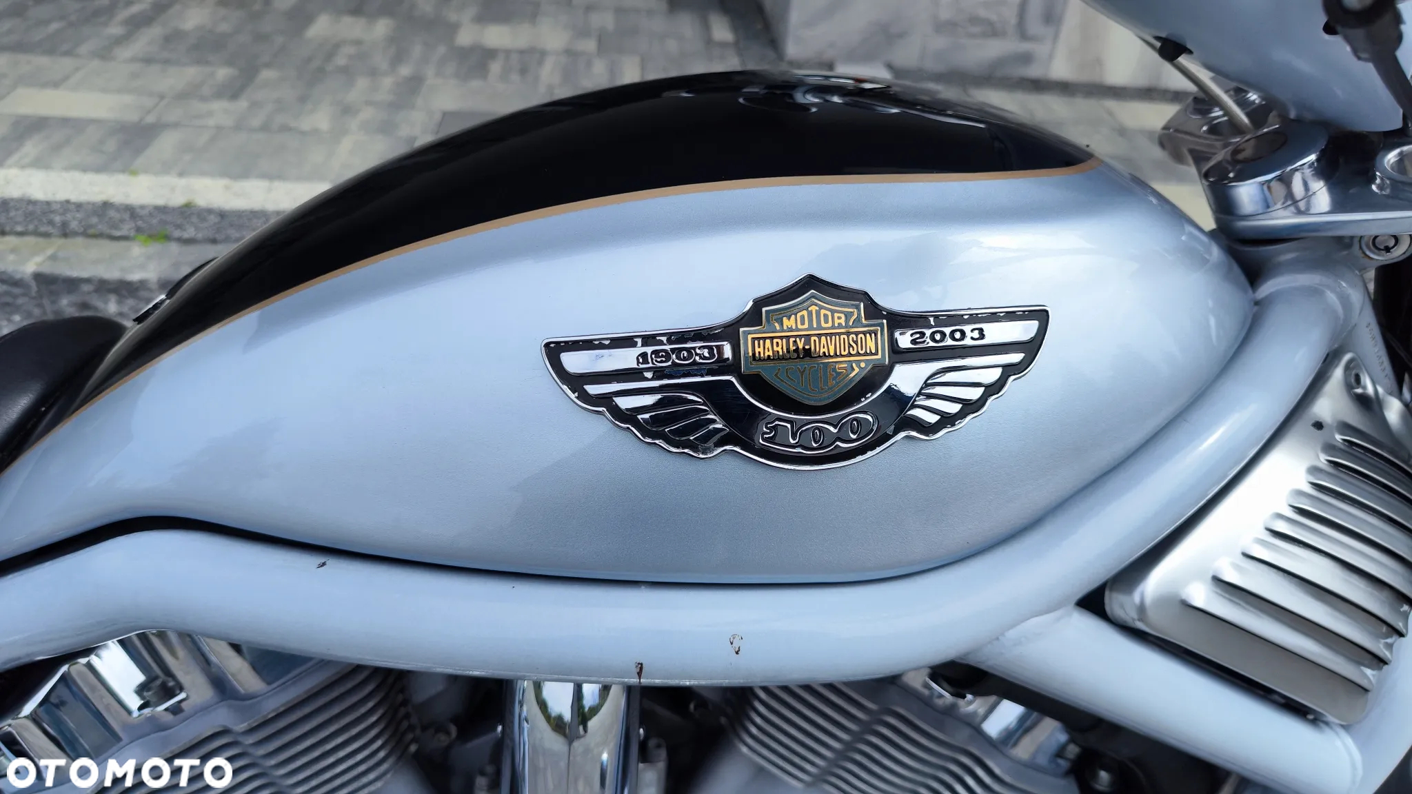 Harley-Davidson Softail V-Rod - 30