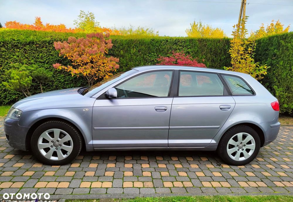 Audi A3 Sportback 1.6 Ambiente - 7