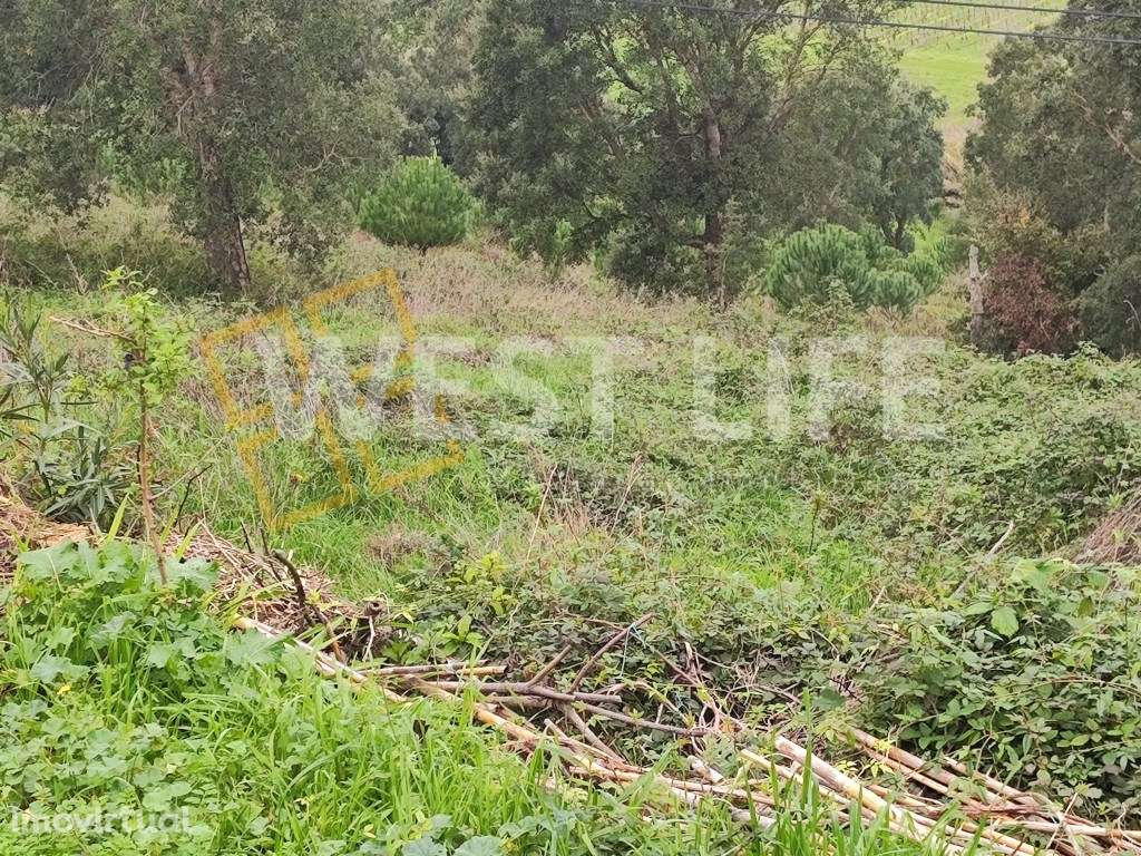 Terreno Urbano com viabilidade de construção, excelente localização... - Grande imagem: 2/11