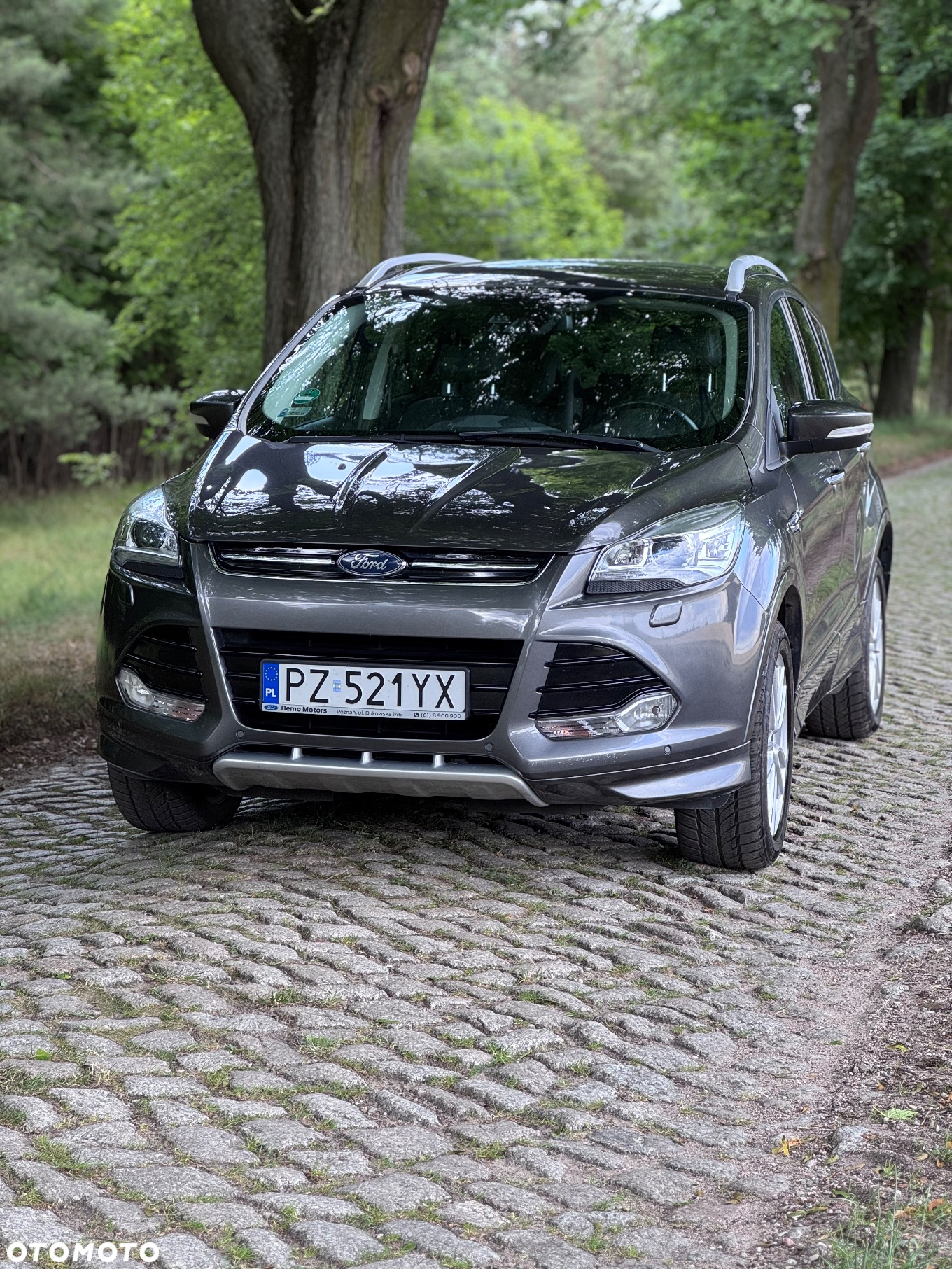 Ford Kuga 1.5 EcoBoost 4WD Titanium - 3