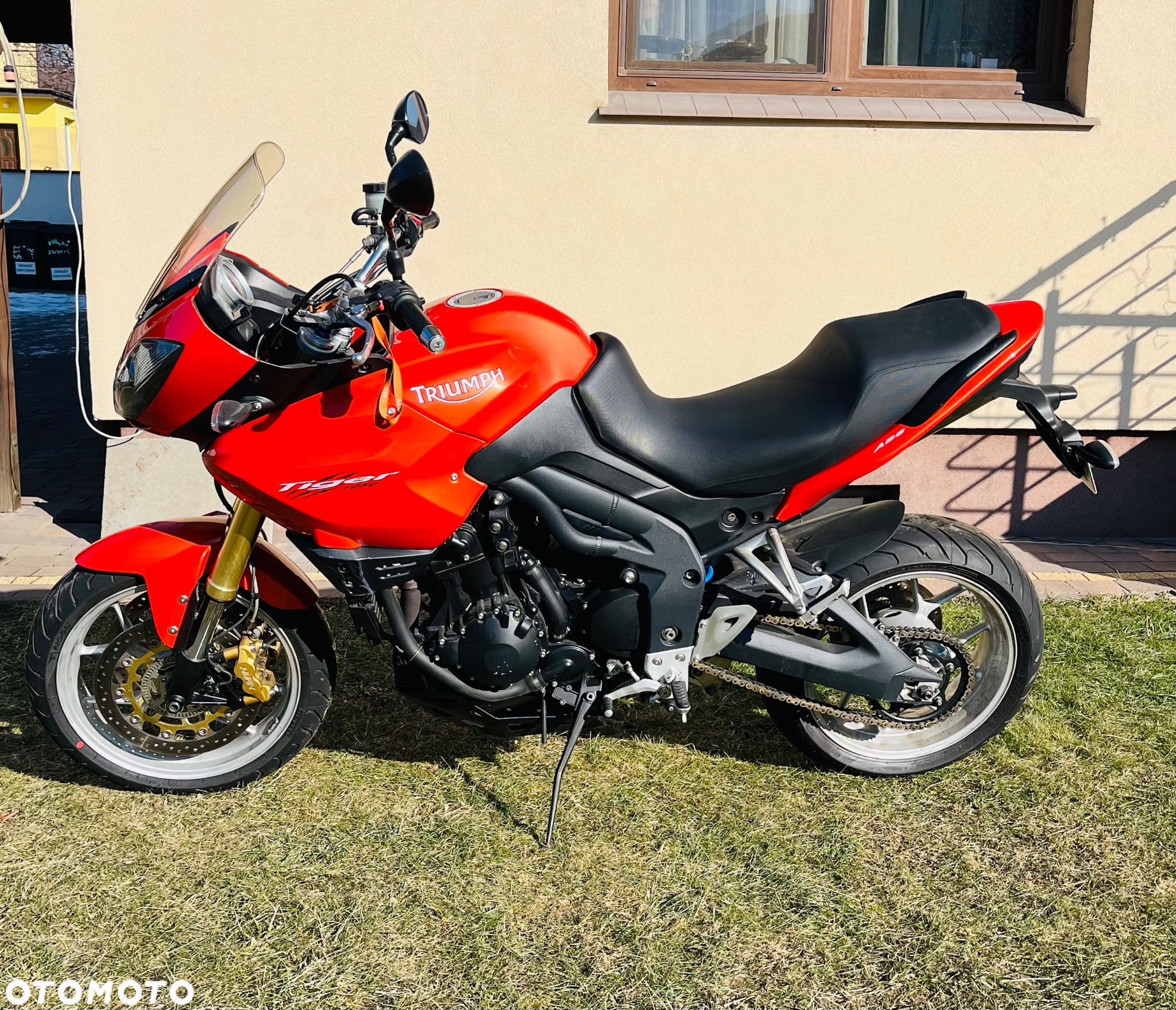 Triumph Tiger - 2
