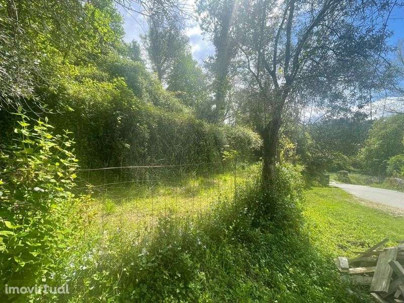 Terreno com ruína - Grande imagem: 3/8