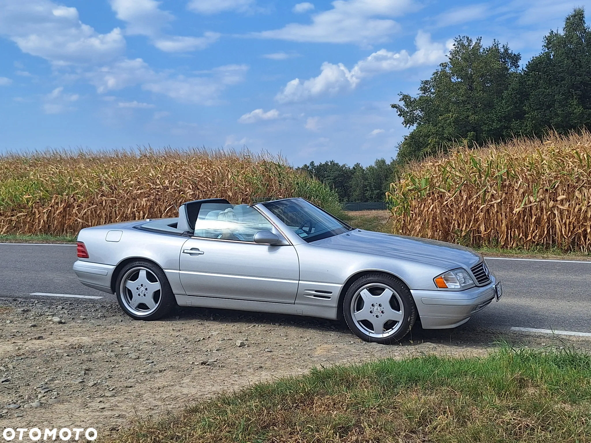 Mercedes-Benz SL 500 - 23