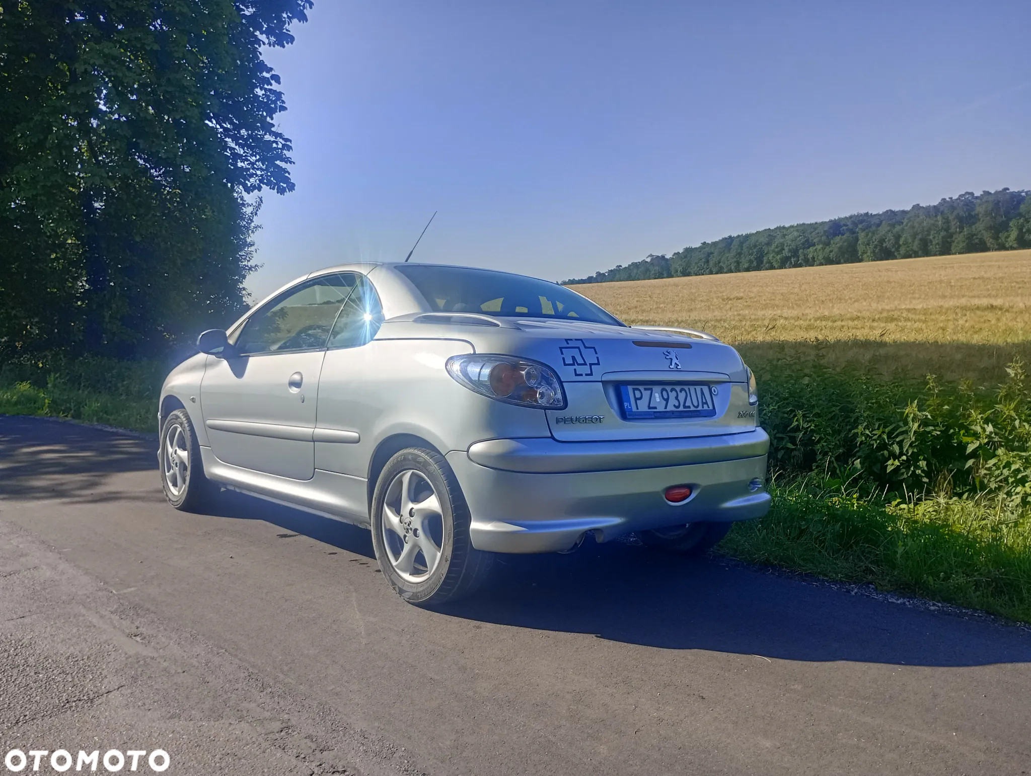Peugeot 206 - 6