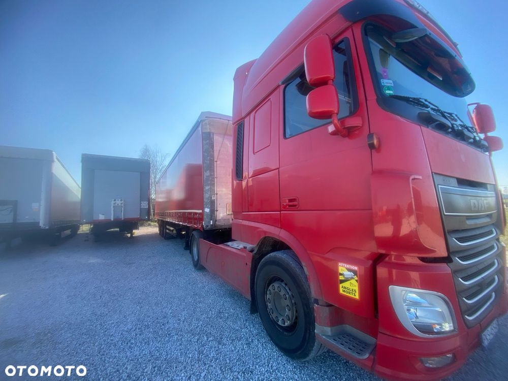 Schmitz Cargobull Standard Mulda - 4