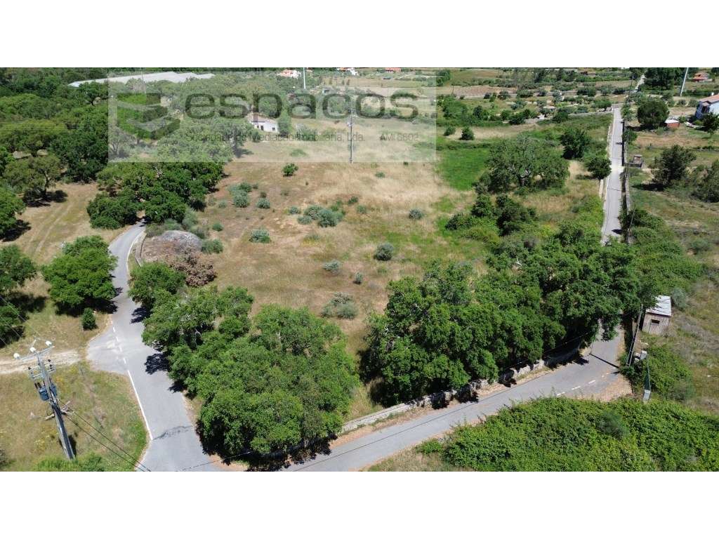 Quinta em Castelo Branco - Grande imagem: 5/25