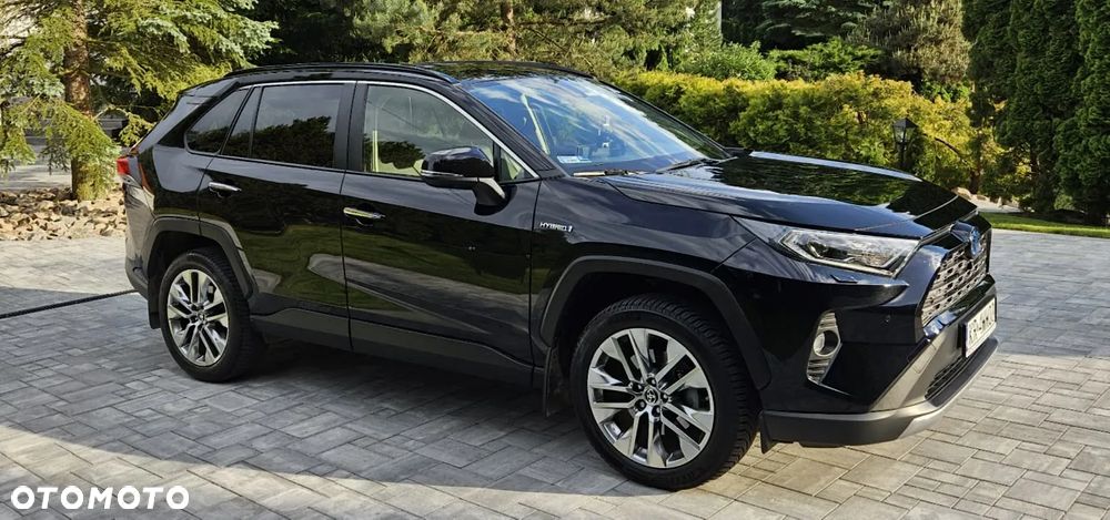 Toyota RAV4 2.5 Hybrid Executive 4x4 - 9
