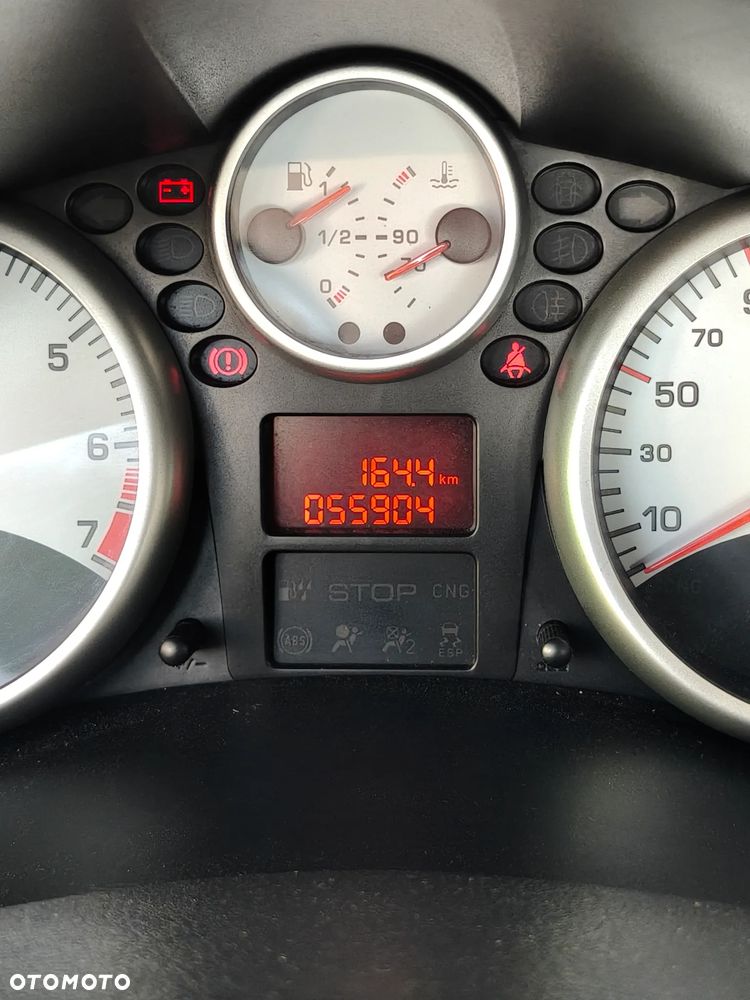 Peugeot 206 plus - 8