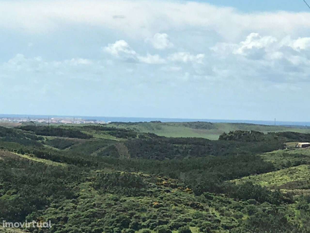 2 Terrenos Rústicos na Raposeira - Grande imagem: 5/8