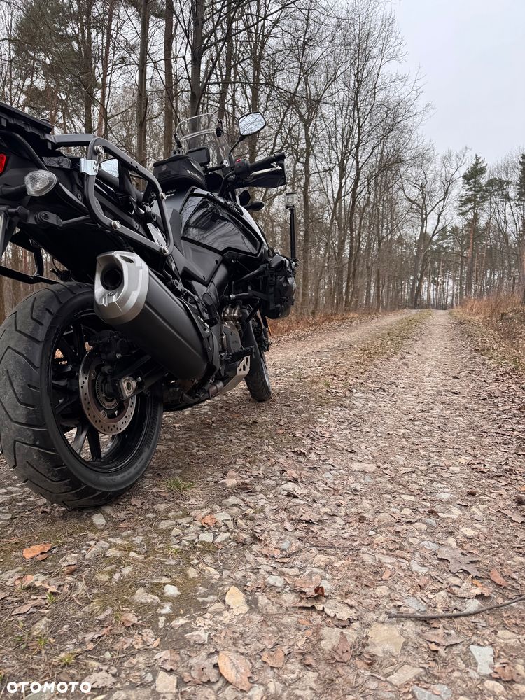 Suzuki V-STROM - 15