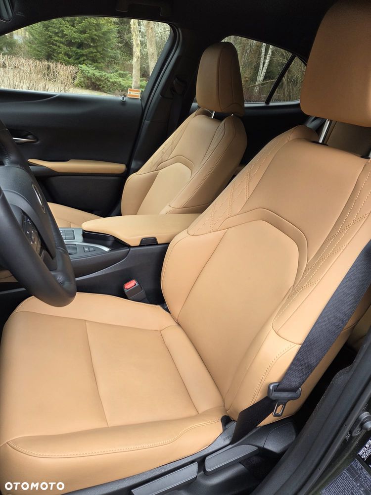 Lexus UX 200 GPF F Sport Edition 2WD - 16