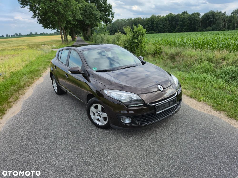 Renault Megane - 30