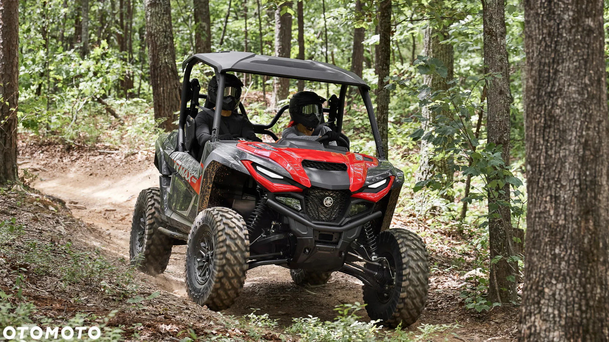 Yamaha Wolverine - 6